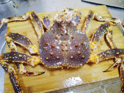 ​帝王蟹怎么做好吃又简单的做法（帝王蟹怎么做好吃）