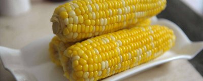 ​玉米可以放冰箱保存多久 新鲜玉米放冰箱保鲜可以放多久