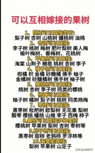今天才知道,原来这些果树可以互相嫁接。太涨见识了。