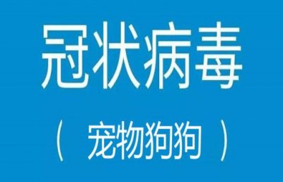 ​狗狗食欲不振精神萎靡趴着不爱动（狗狗突然食欲下降、腹泻、精神不振，是感染