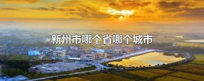 ​新州是哪个省哪个城市 新洲是哪个省哪个市