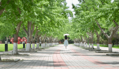 ​含专科的本科大学也有好大学