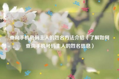 ​查询手机号码主人的姓名方法介绍（了解如何查询手机号码主人的姓名信息）