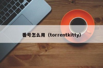 ​番号怎么用（torrentkitty）