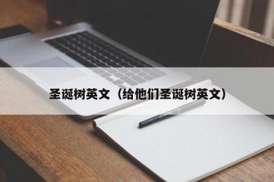 ​圣诞树英文（给他们圣诞树英文）