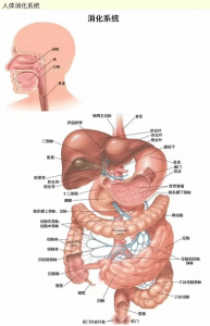 ​胃癌肠癌早期筛查方法 胃癌肠癌早期筛查结果