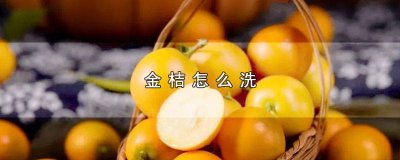 ​金桔如何清洗及其食用方法 金桔的洗法