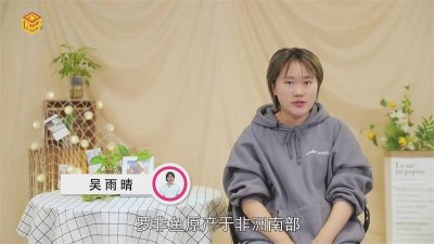 ​罗非鱼会吃同类吗 什么人不能吃罗非鱼