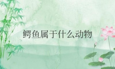 ​鳄鱼属于什么动物