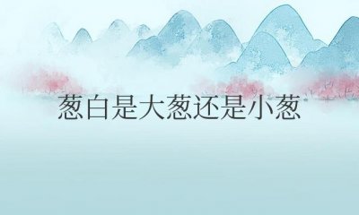 ​葱白是大葱还是小葱