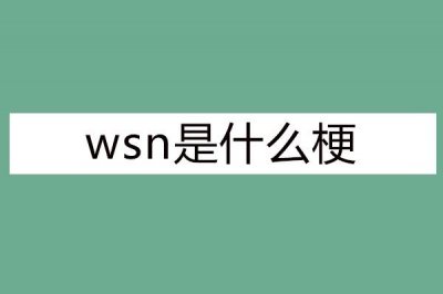 ​wsn是什么梗(wsn是什么意思网络用语)