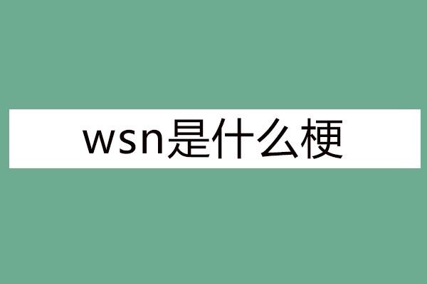 热梗wsn是什么梗(wsn是什么意思网络用语)  1