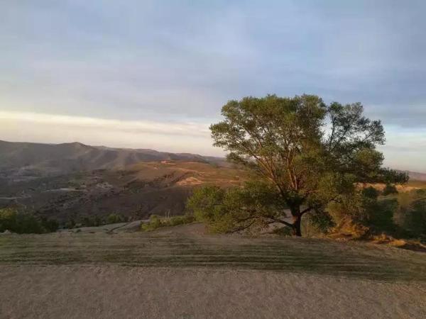 七夕约会去哪里比较好，七夕约会安排