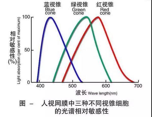 灰绿还是粉白？网友为这只鞋子的颜色又吵起来了