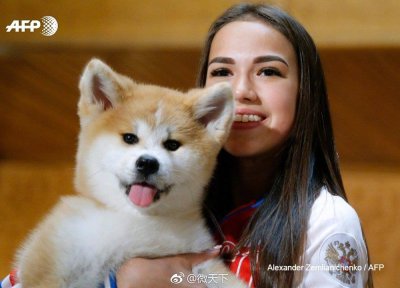 ​日本履行承诺 赠送俄奥运冠军秋田犬