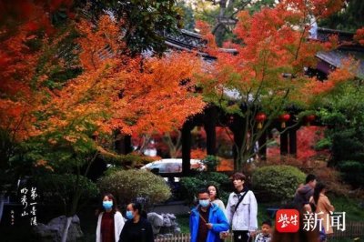 ​“秋栖霞”赏枫季，来南京栖霞山赏夜枫吧