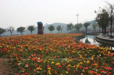 ​花舞人间，置身于花海中，成片的花海一望无际