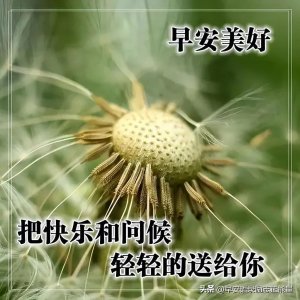 ​正能量图片带字励志心灵鸡汤语录，早上好正能量满满的励志句子