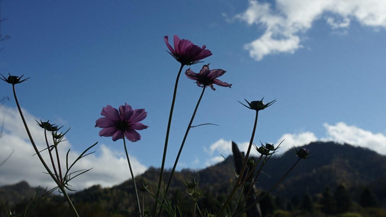 西安自驾经典线路：周至老县城，藏在秦岭大山里的世外桃源