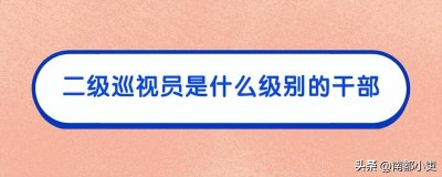 ​二级巡视员是什么行政级别的干部？