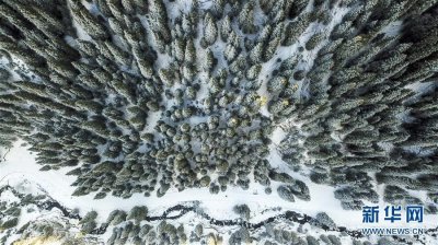 ​乌鲁木齐南山雪景美