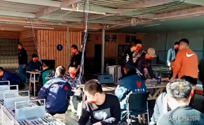 ​秋高气爽好赛鸽，津冀公棚迎来赛事高峰