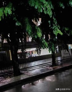 ​一中学生坠楼身亡，官方凌晨通报！