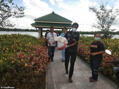 ​心惊！泰国刚出生男婴被父母遗弃池塘边，尸体竟遭巨蜥活活吃掉