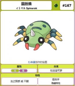 ​圆丝蛛-阿利多斯