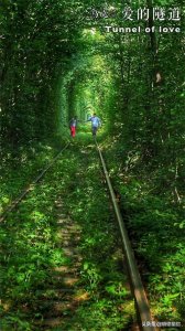 ​梁红：七年来，与张昕宇携手环球之旅，脚步遍及世界各地