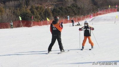 ​营口市鲅鱼圈区何家沟滑雪场燃情冰雪 尽享冬日乐趣