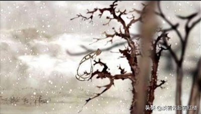 ​黛玉是怎么死的，曹雪芹在第五回就已经告诉了我们