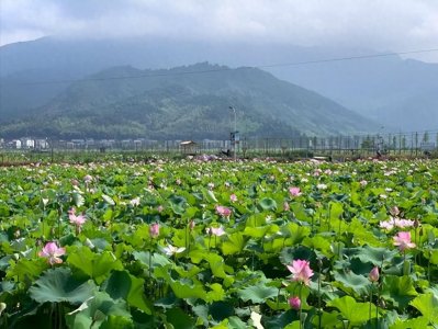 ​说说福建南平