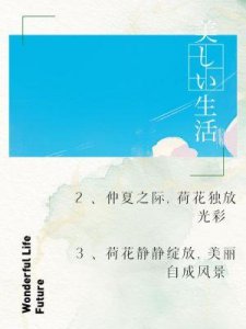 ​今年最动人心弦的脱口秀，触动每位东亚女孩的心弦