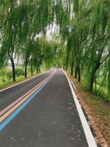 ​滕州七星湖湿地公园