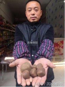 ​你见过羊肚子里产黄金吗？