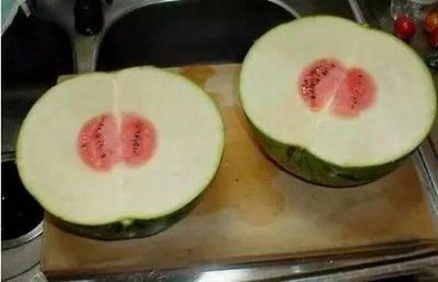 ​十张爆笑图片真的可以气哭吃货