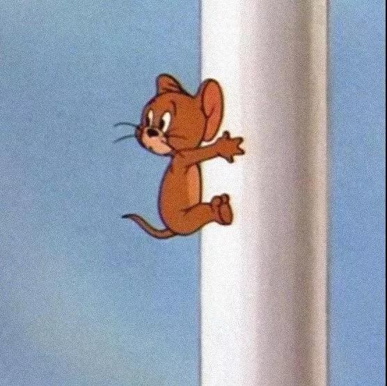 图王鲨鱼哥第71期 50组汤姆杰瑞超可爱情侣头像