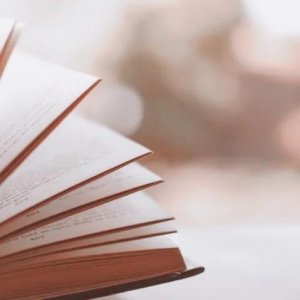 ​文笔最好的四位网络小说作家