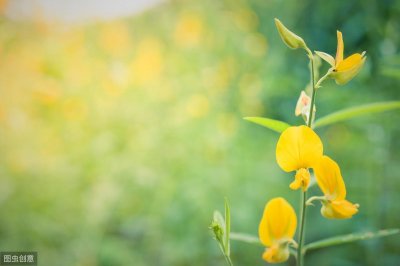 ​美文摘抄-海子-《遇见自己》