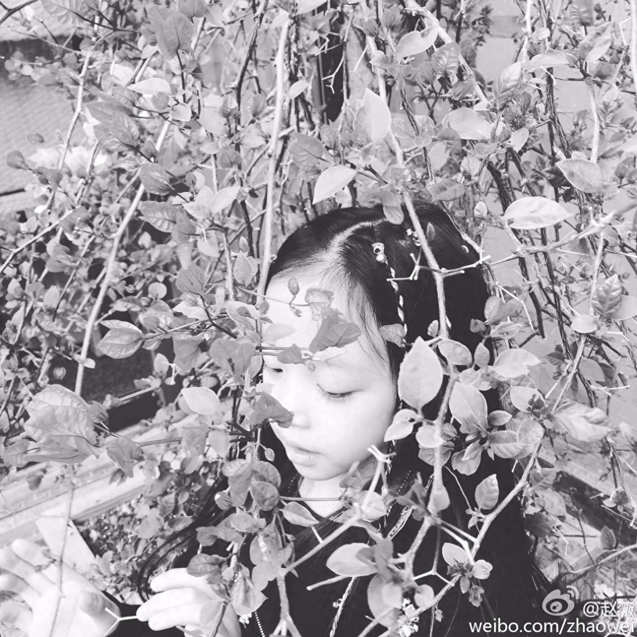 赵薇晒女儿小四月新照片,大眼萌娃已长大成为美人胚子了!