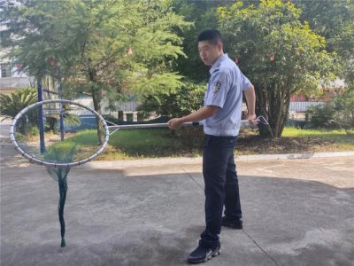 ​它狂，任它狂，民警亮出了“捕狗神器”
