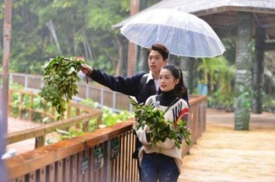 ​李沁的男朋友是谁是杨洋吗 《我们相爱吧》魏大勋遭李沁嫌弃