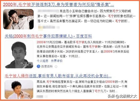 毛宁个人资料简介(毛宁,真的可惜了)