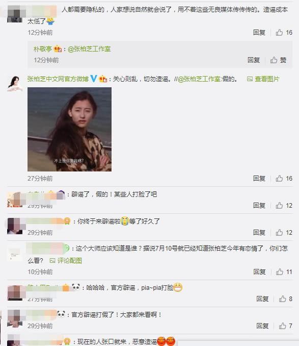 张柏芝现任丈夫孙东海(传三胎儿子生父是内地富商)