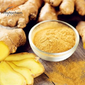 ​韩国歌手姜Gary宣布结婚理智粉们也送上祝福