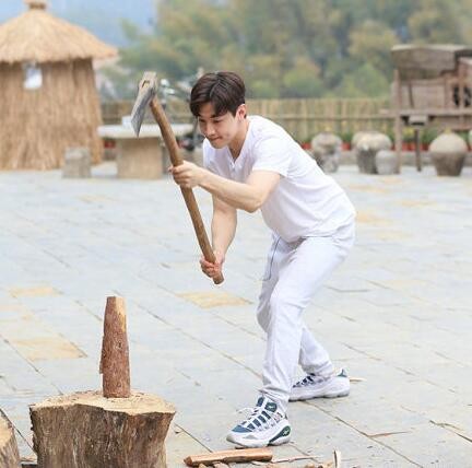 刘宪华退出向往的生活原因 原来是为音乐不得不退出啊