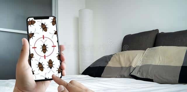 如何消灭家里虫子(家里有虫子怎么办能除根)