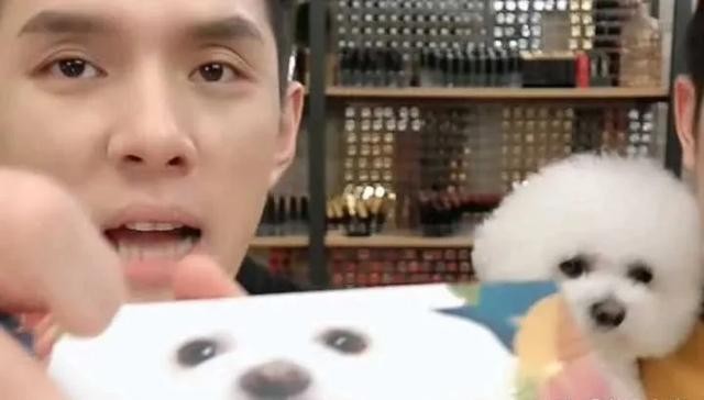 李佳琦以前是怎样的（离开李佳琦花西子们的）(1)