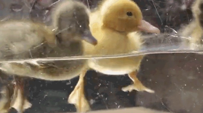 李佳琦以前是怎样的（离开李佳琦花西子们的）(3)